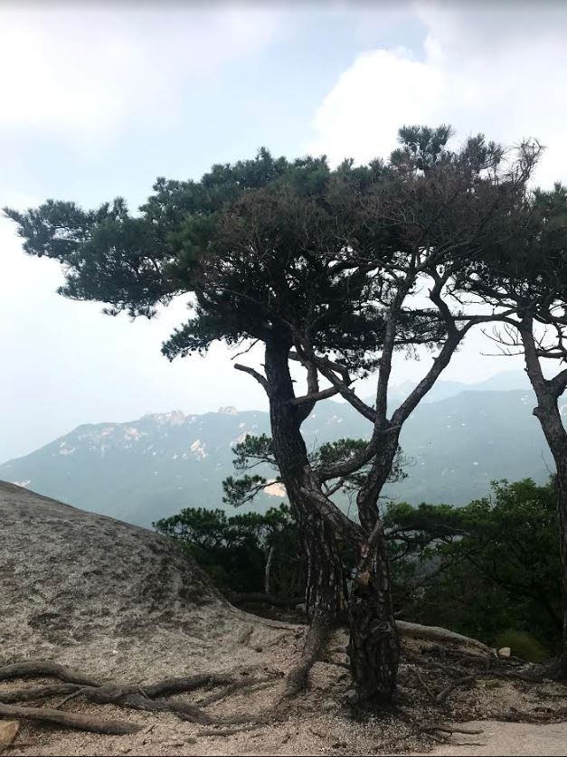 북15.JPG