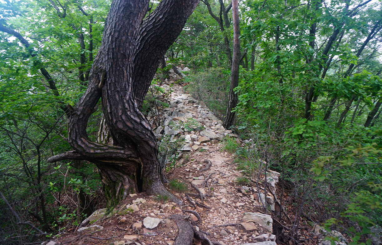 산성표시.jpg