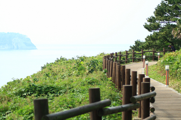 제주2.jpg