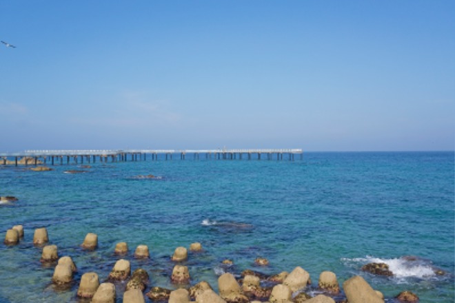 thumbnail (9).jpg