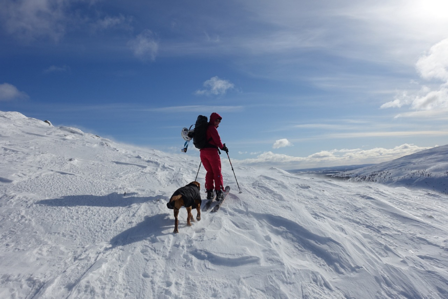 downhill-skiing-.jpg