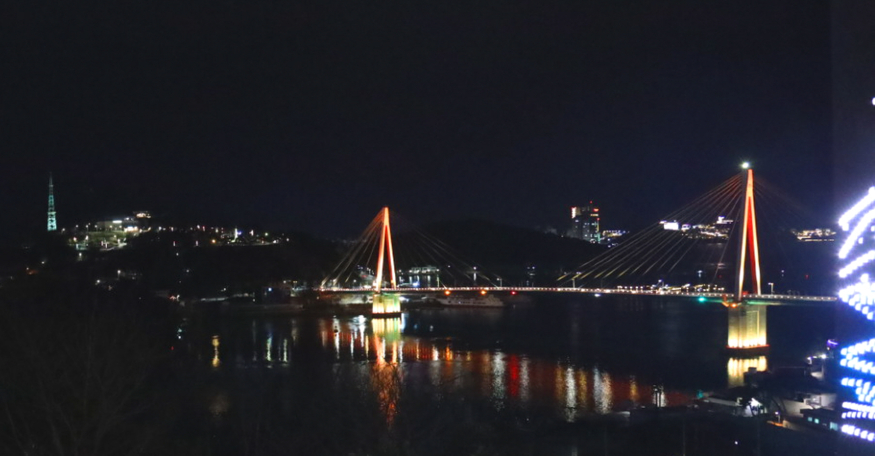 돌산대교 야경.jpg