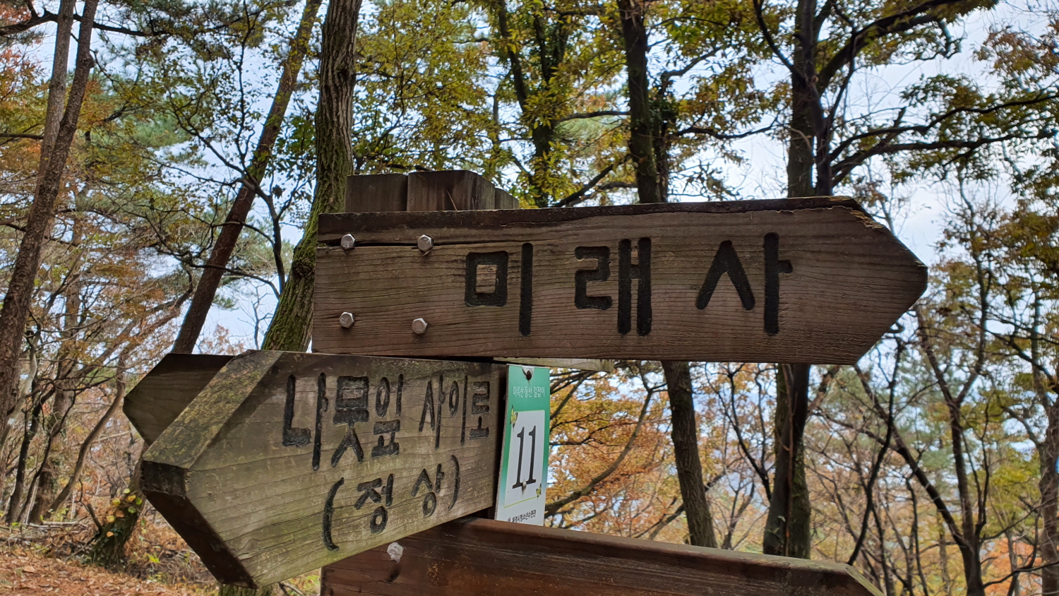 미6.jpg