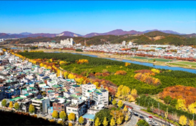 태화강.jpg