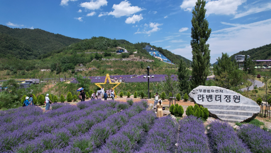 라벤더2.jpg