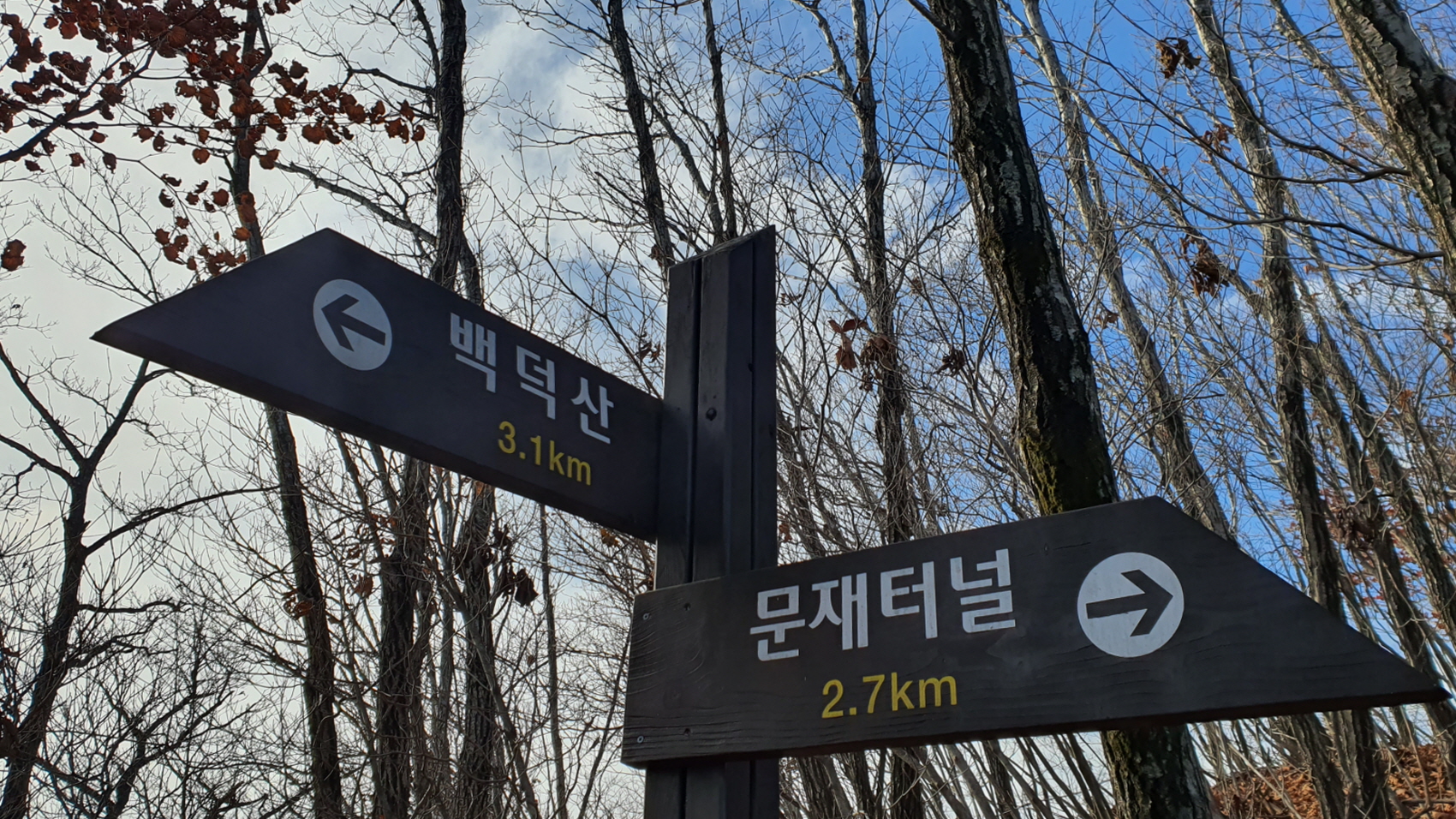 백8.jpg