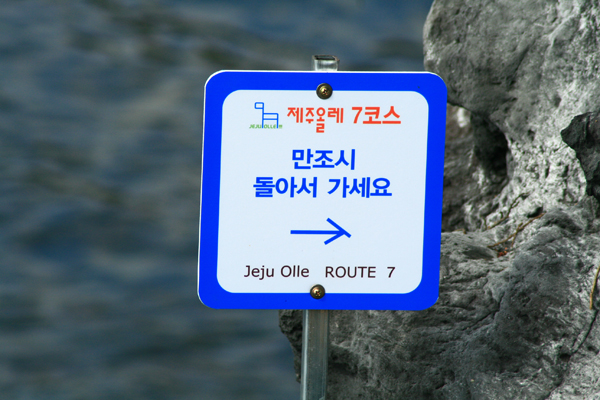 제주12.jpg