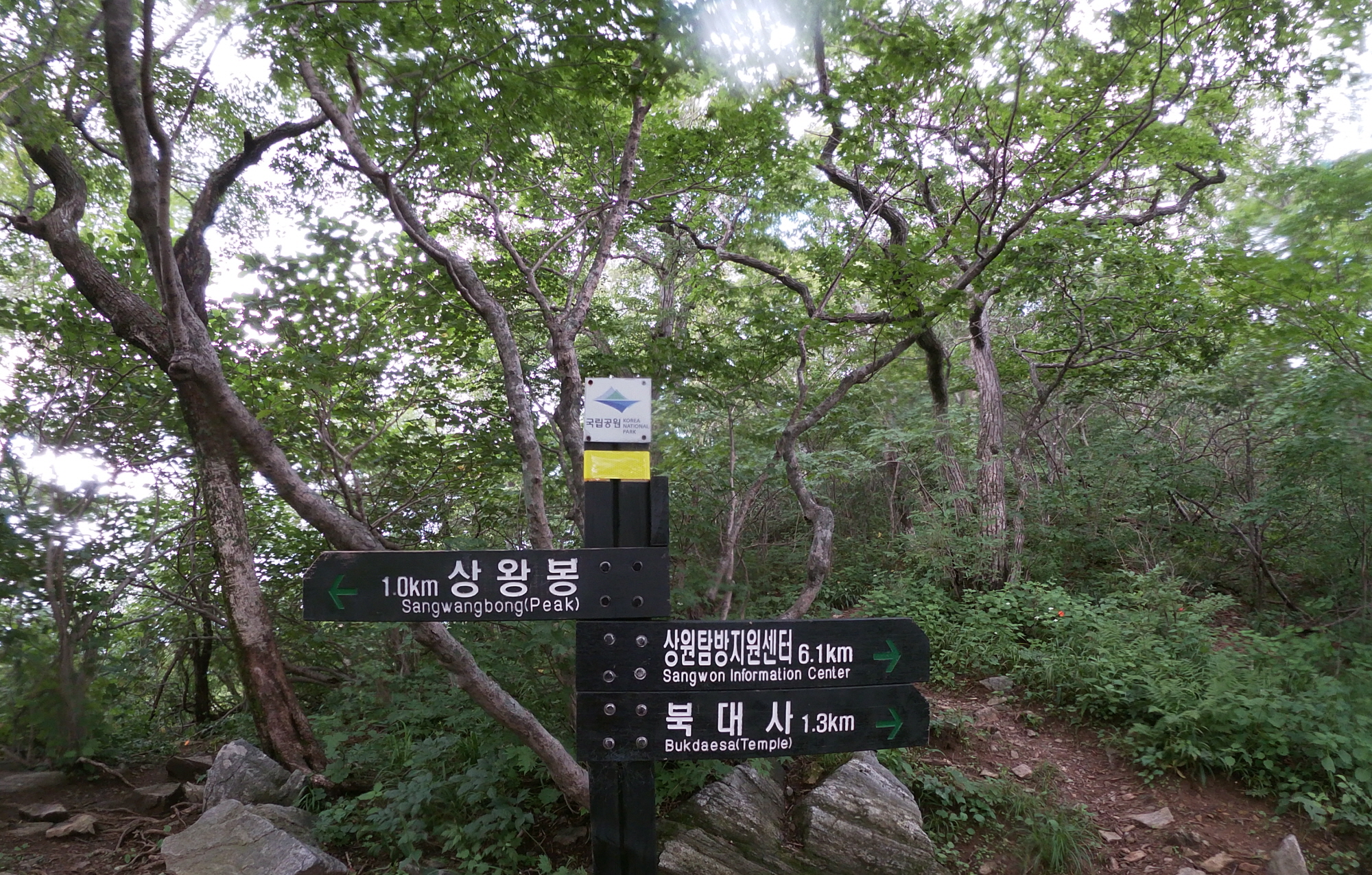 오22.jpg