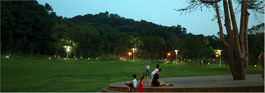 06.jpg