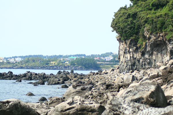 제주4.jpg