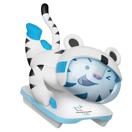 img-soohorang-skeleton.jpg