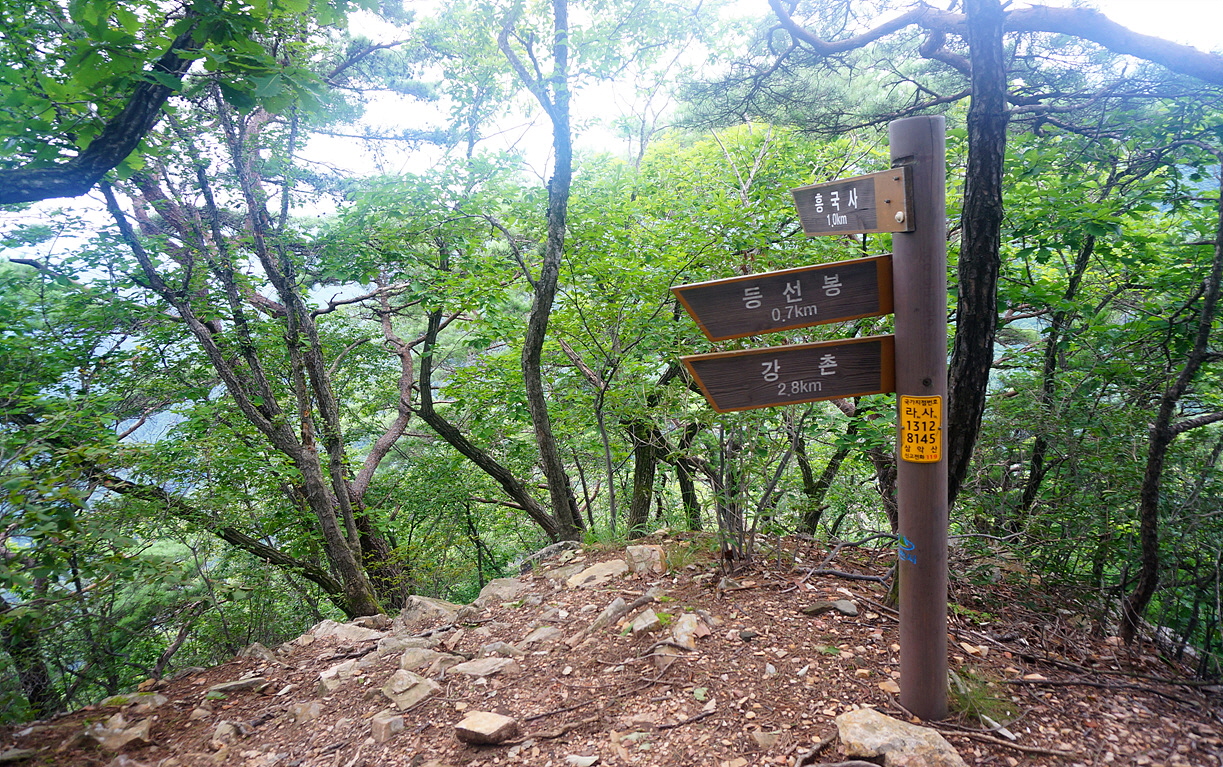 삼19.jpg