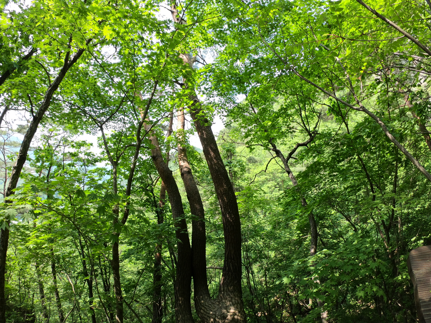 꾸미기_GOPR0956.JPG