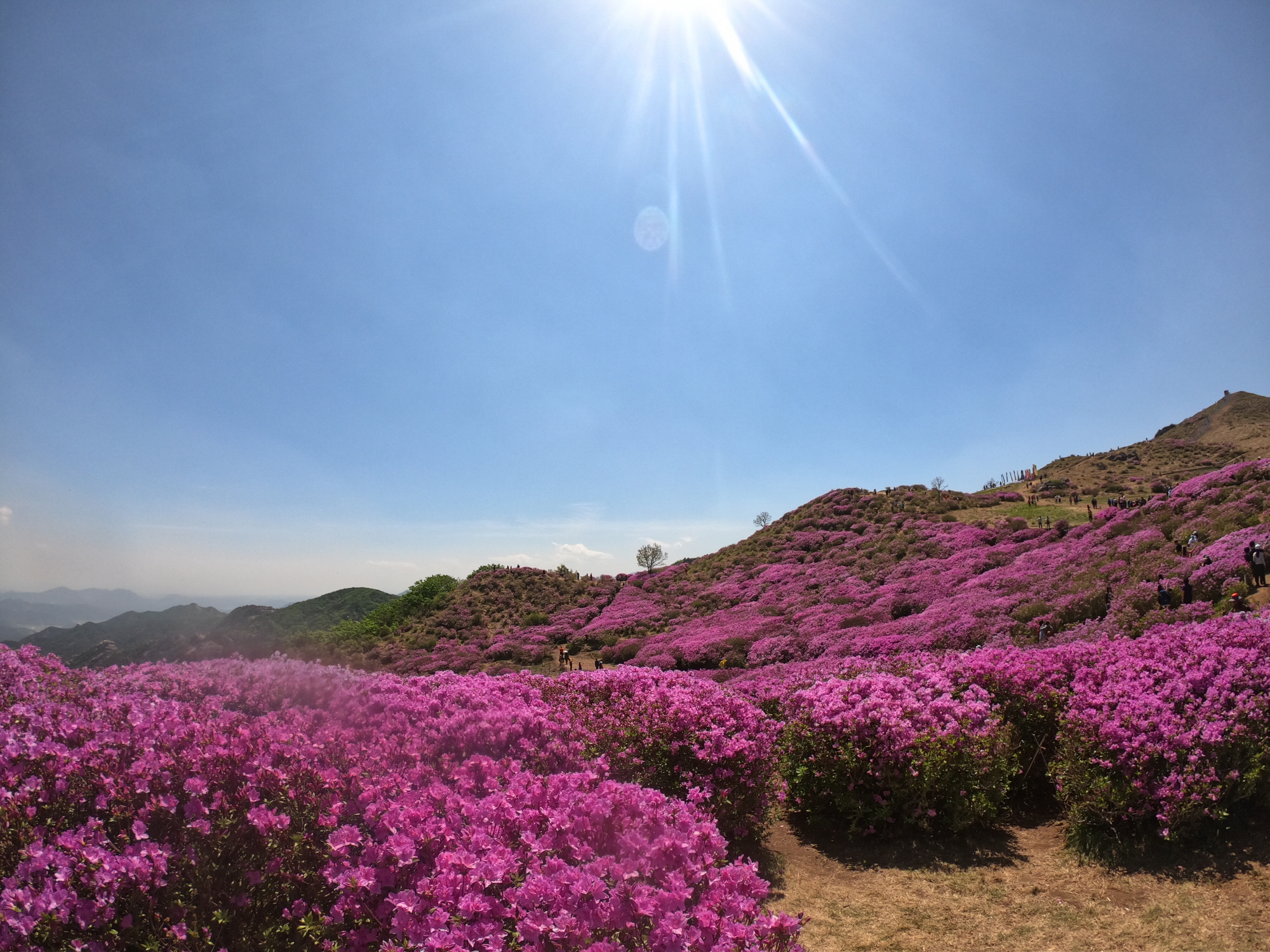 꾸미기_황매산3.jpg