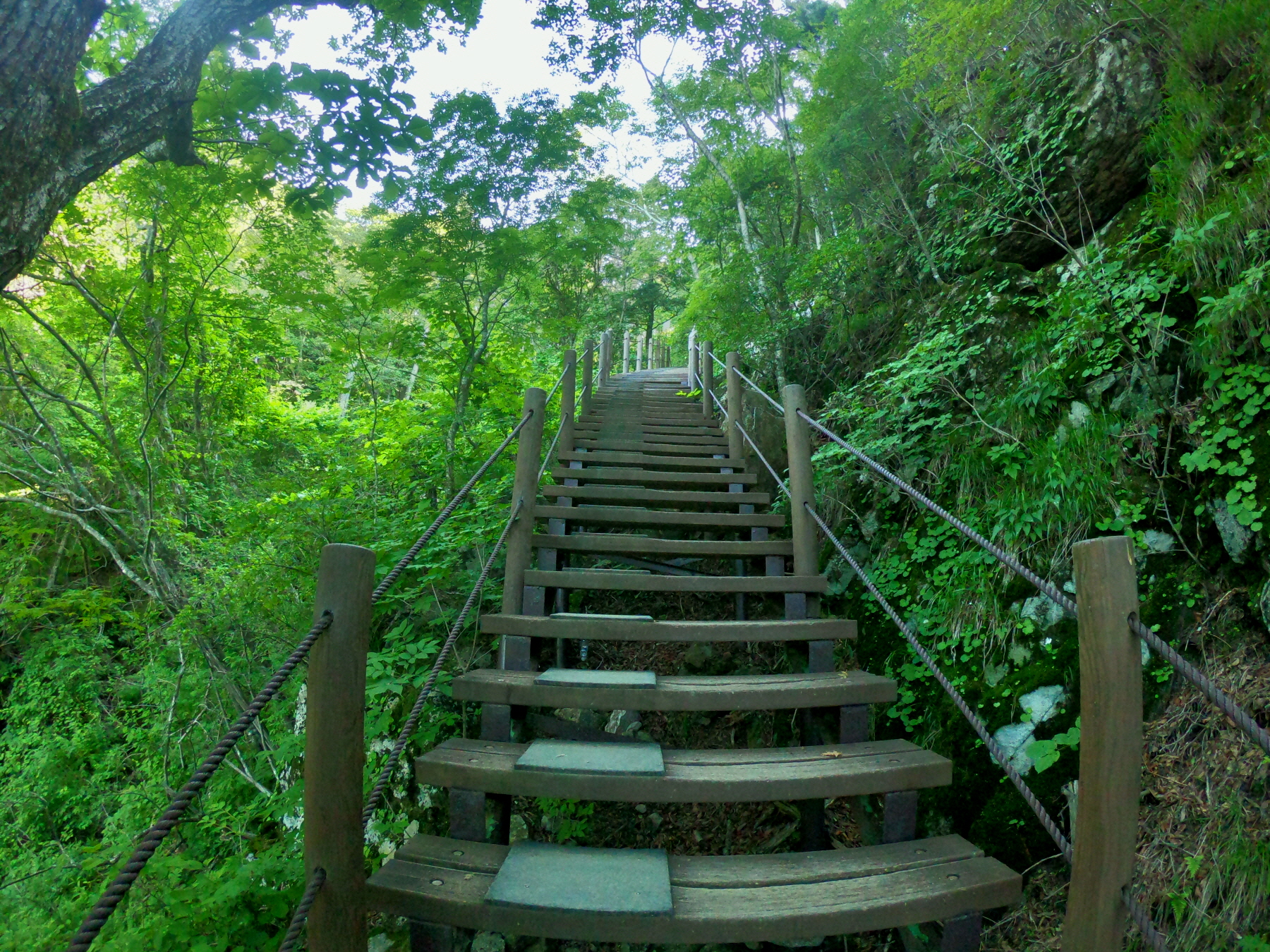 꾸미기_GOPR2754.JPG