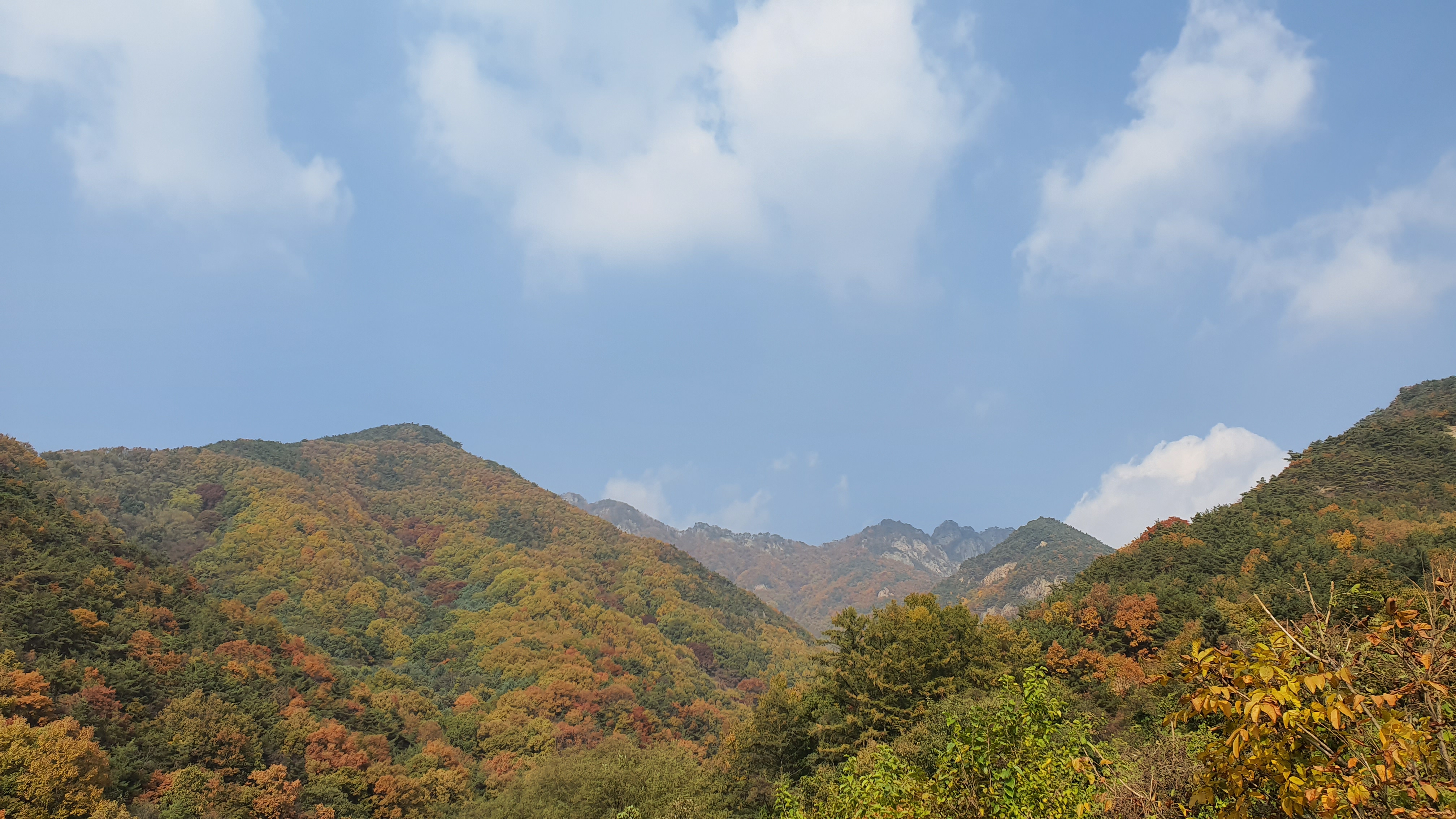 사본 -2019.jpg