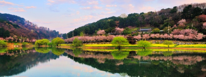 선암호수공원.jpg