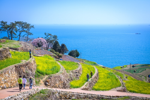 RPR20220.jpg