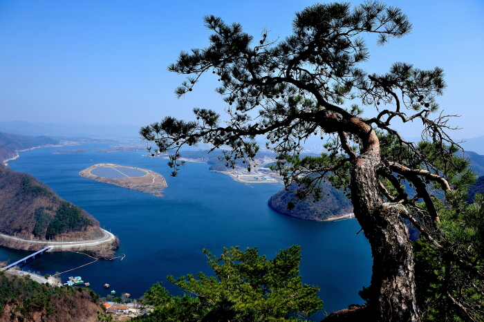 사본 -정연근-삼악산소나무.jpg