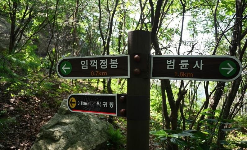 감9.JPG
