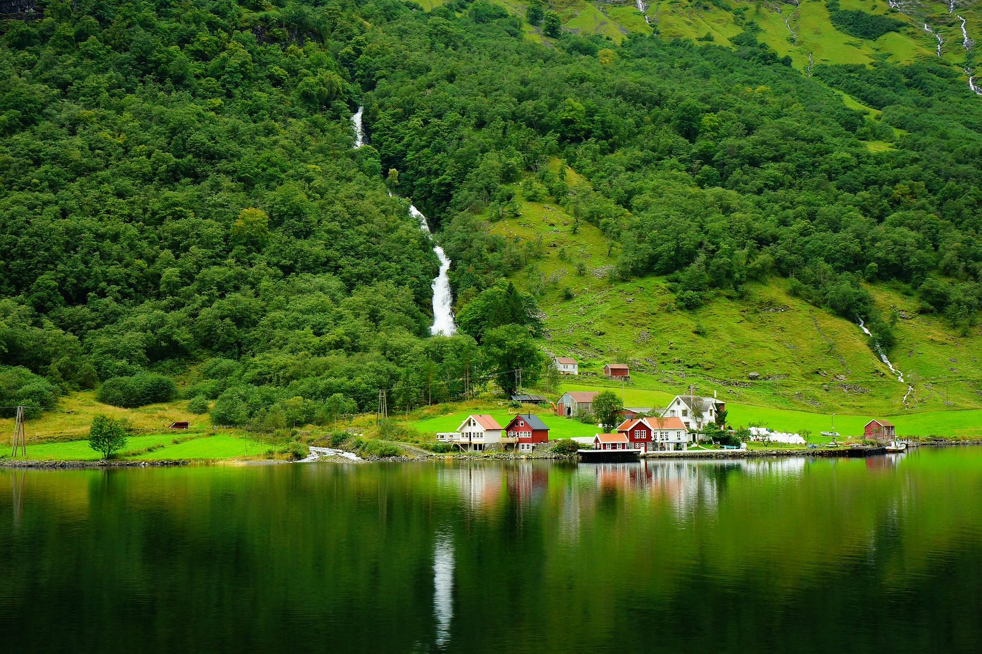 norw.jpg