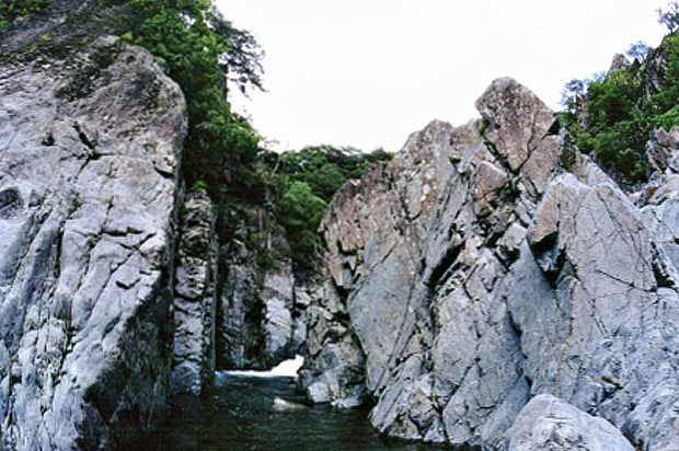 10경 죽장.jpg