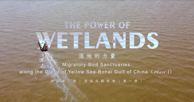 Wetlands.jpg
