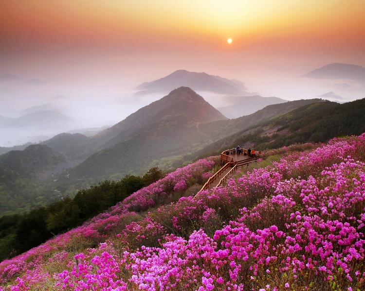 천주산1.jpg