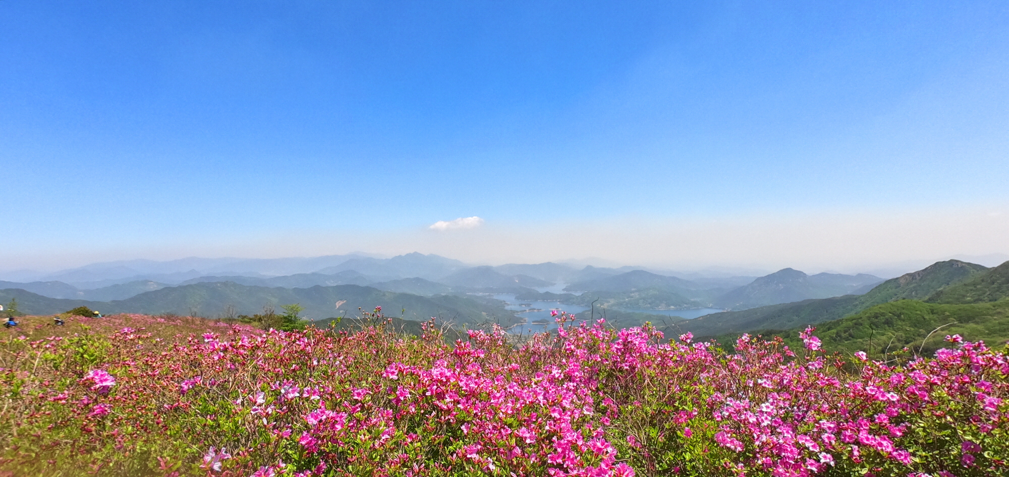 꾸미기_황매산 정상풍경.jpg