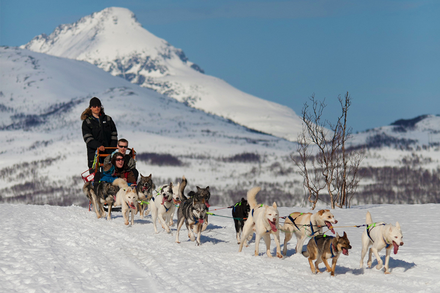 트롬쇠_개썰매_visittromso.jpg