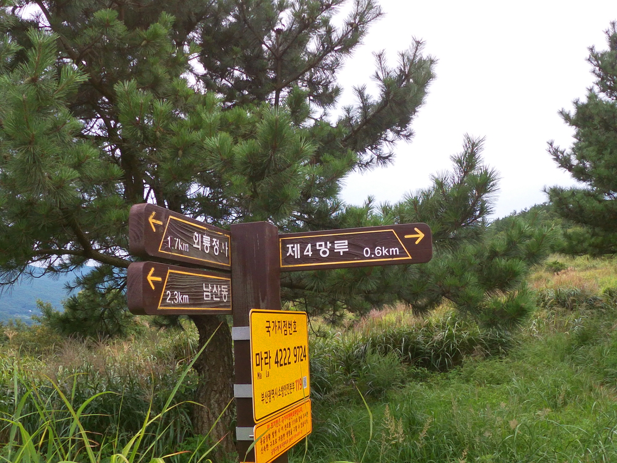 표지5.jpg