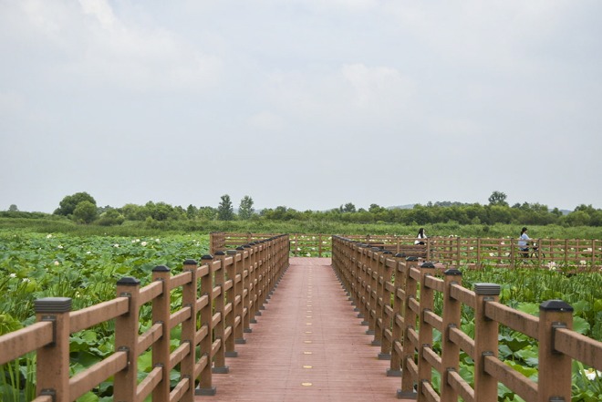 c8175fa9.jpg