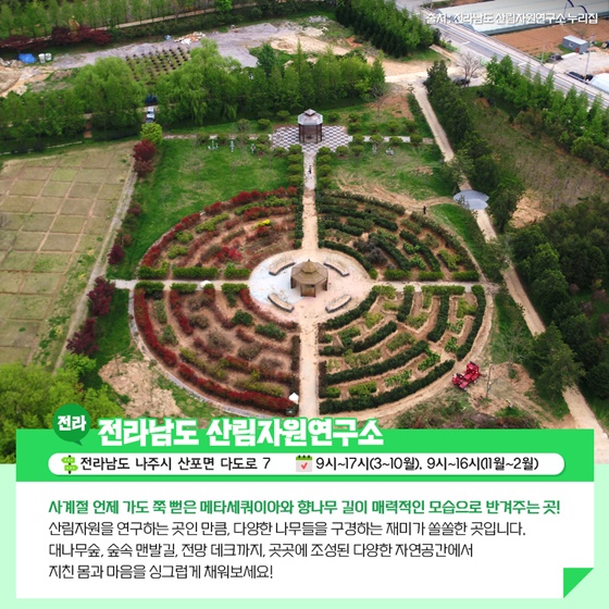 02.jpg
