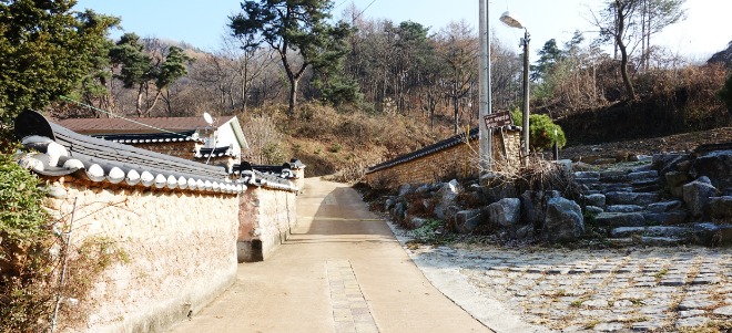 223.jpg