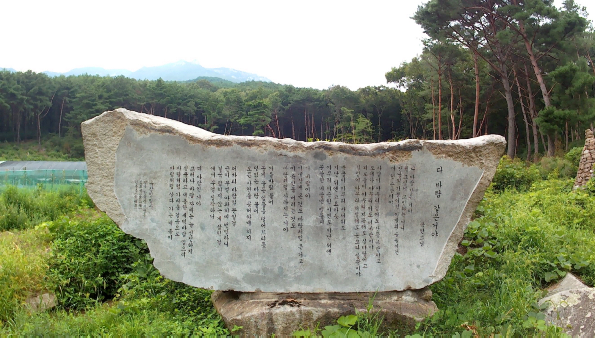 시비2.jpg