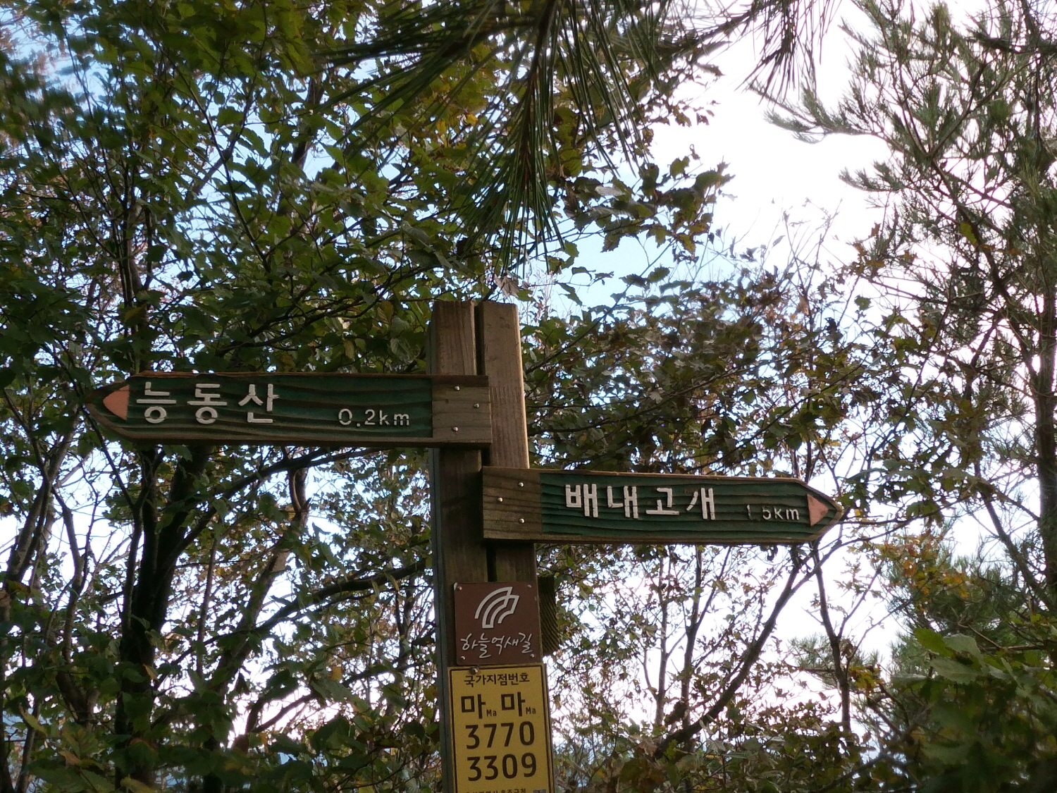 [꾸미기]GOPR1929.JPG