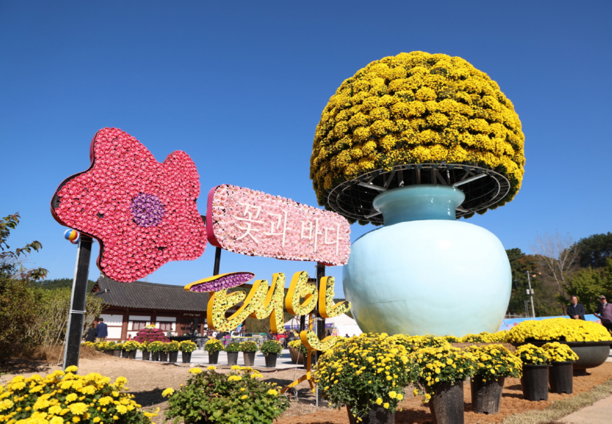 태안 국화축제 연장 2.JPG