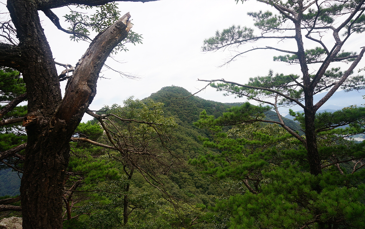 삼15.jpg
