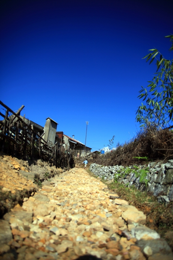 20121027224920_8492.jpg
