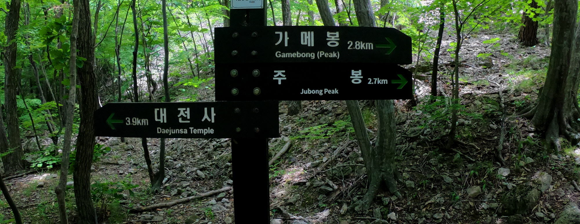 꾸미기_52.jpg