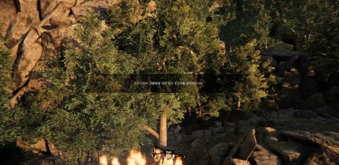 .jpg