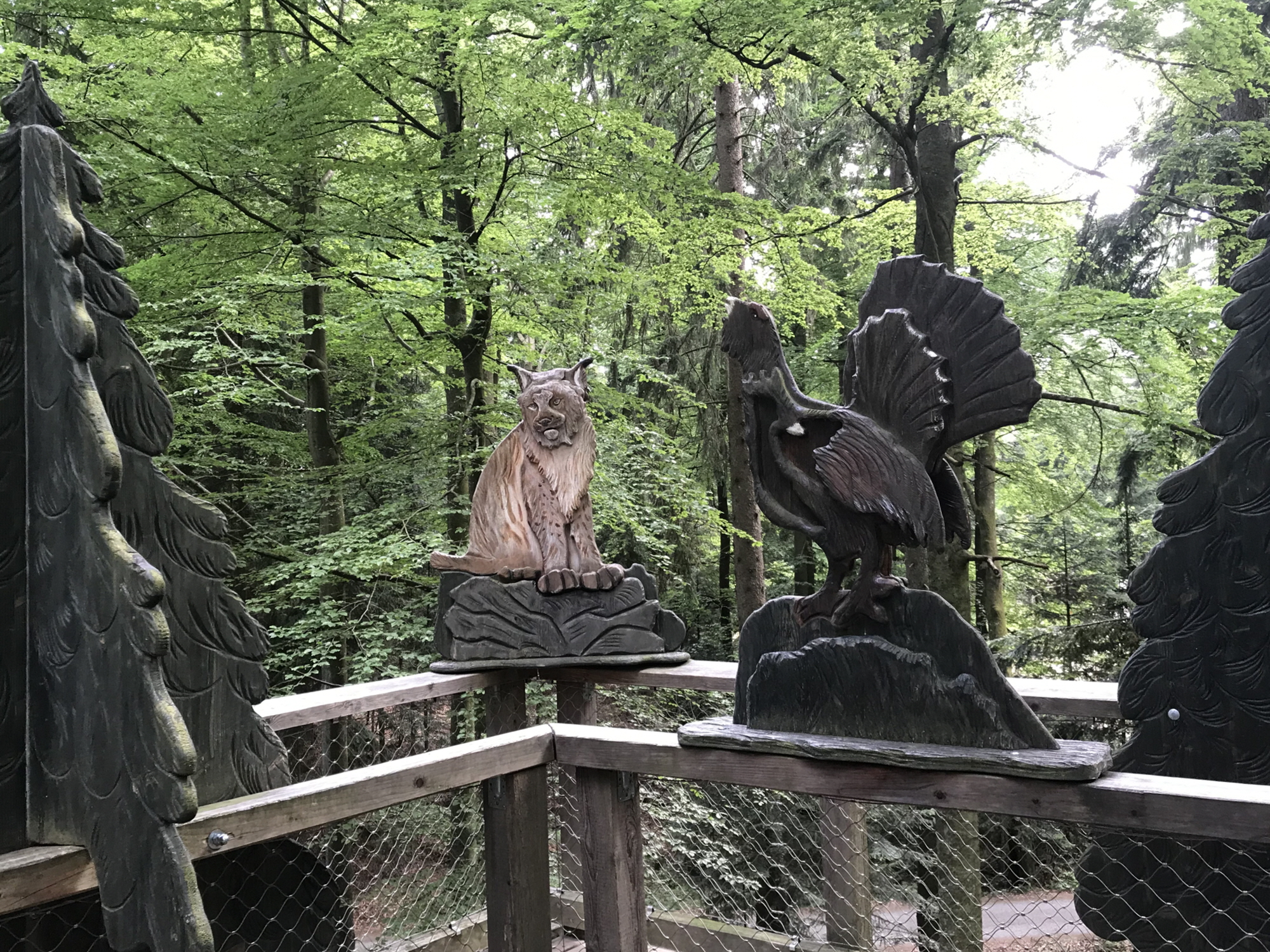 공원1.jpg