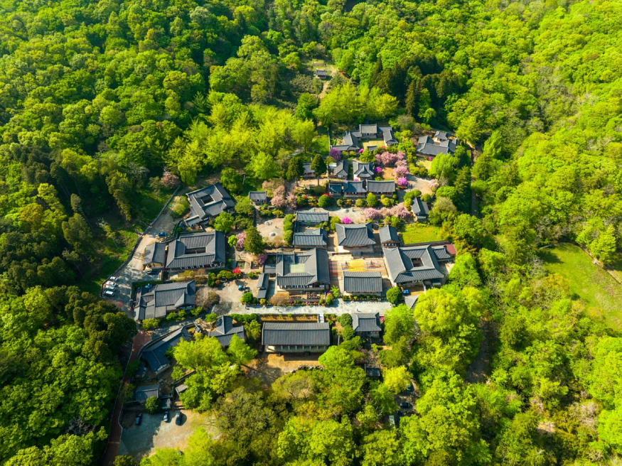 1 선암사.jpg