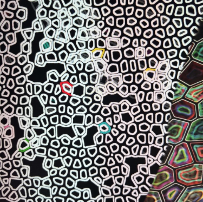 1642771674677.jpg