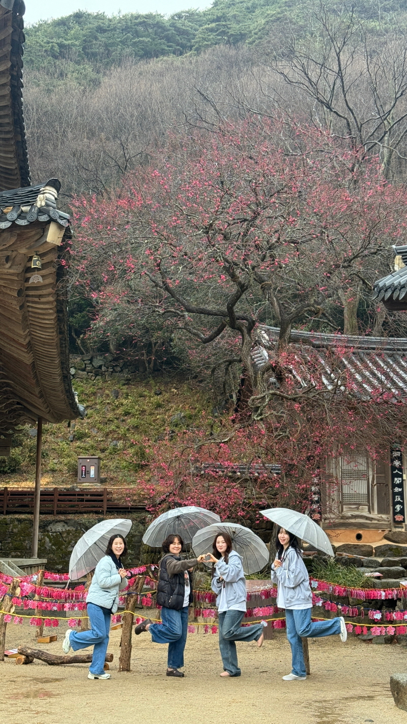 화7.jpg