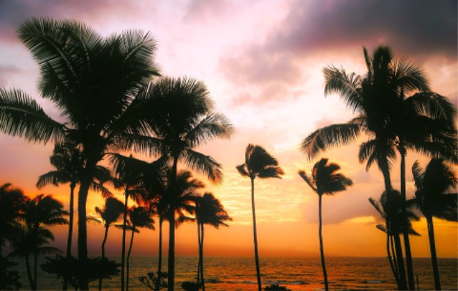 hawaii-1945486_1920.jpg