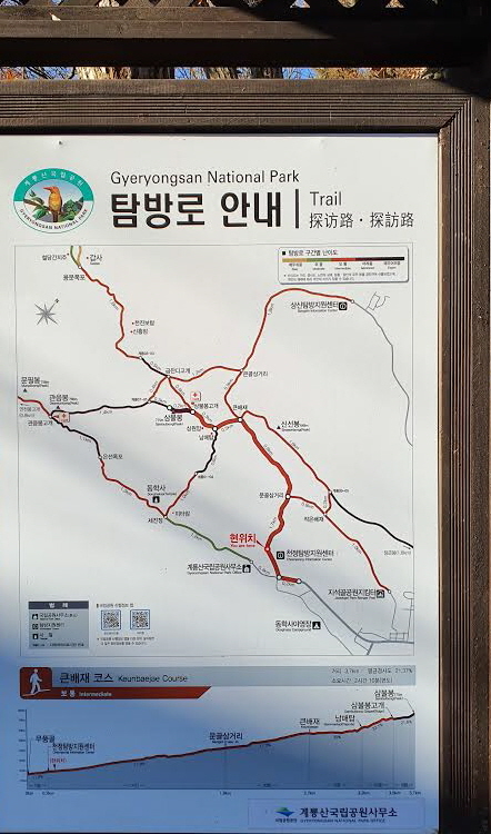 94.jpg