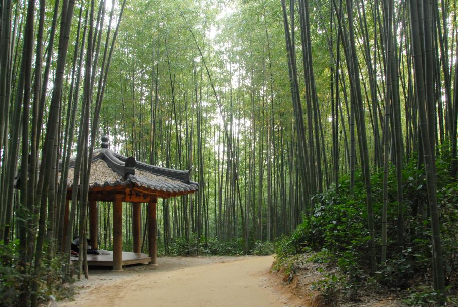 죽1.jpg