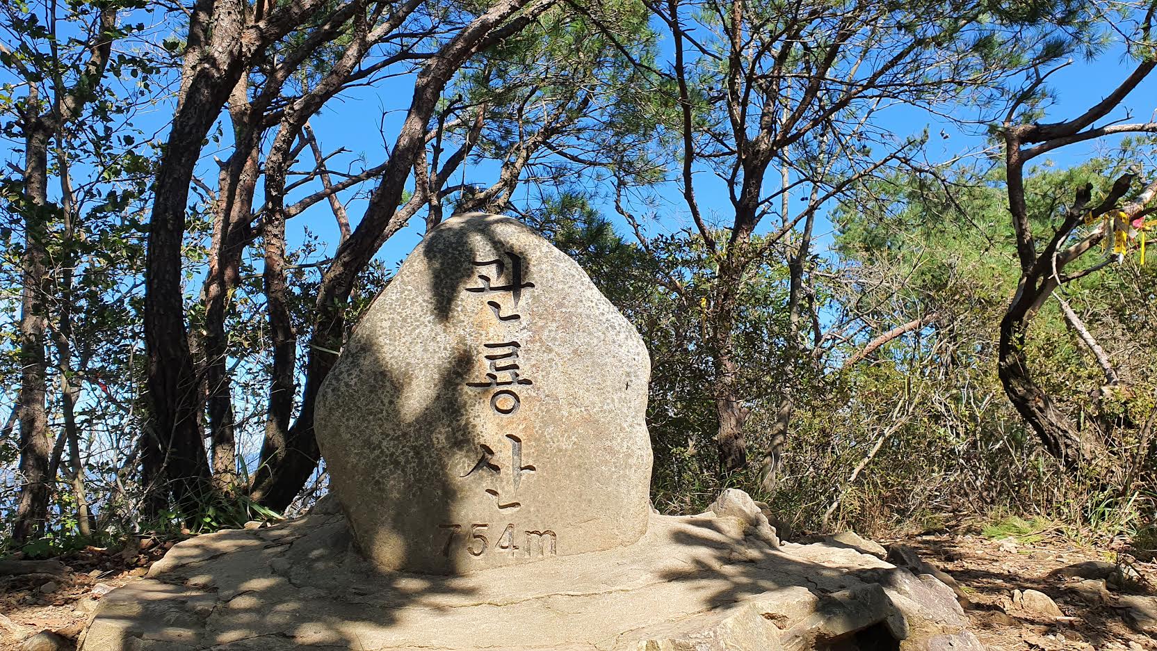 화-01.jpg