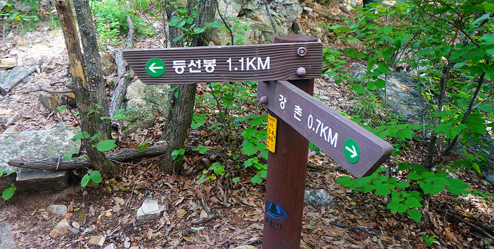 삼11.jpg